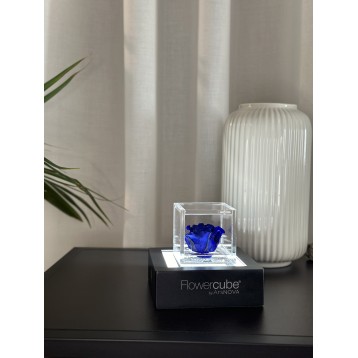 Flowercube Blu