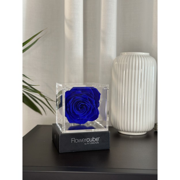 Flowercube Blu