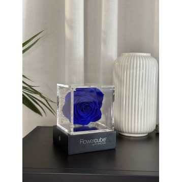 Flowercube Blu