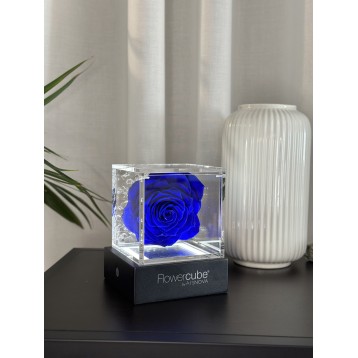 Flowercube Blu