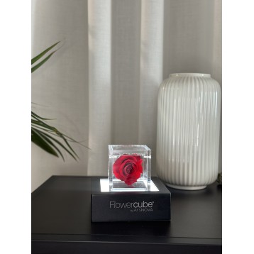 Flowercube Rosso