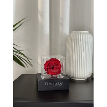 Flowercube Rosso