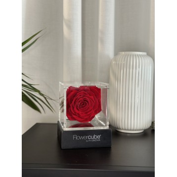 Flowercube Rosso