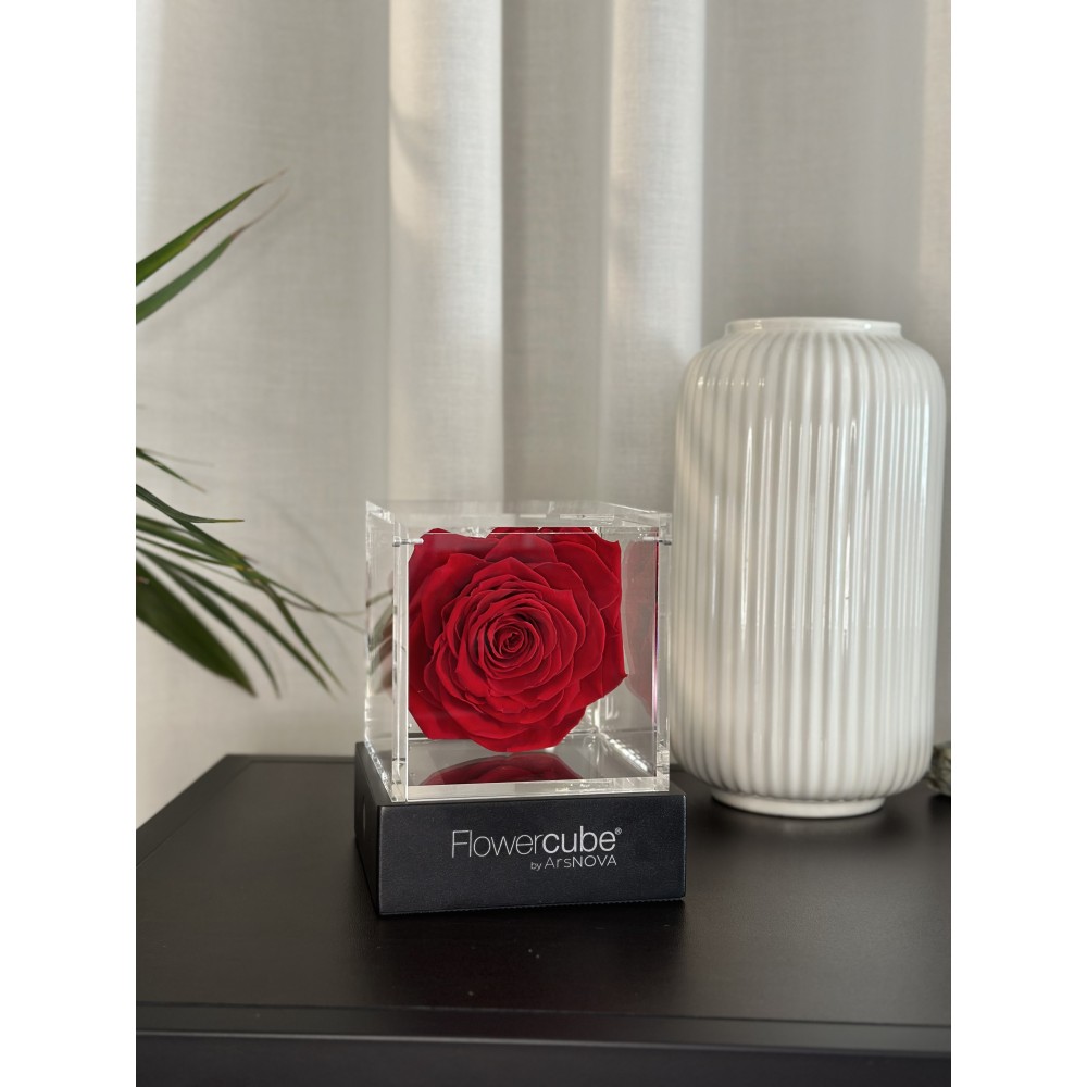 Flowercube Rosso