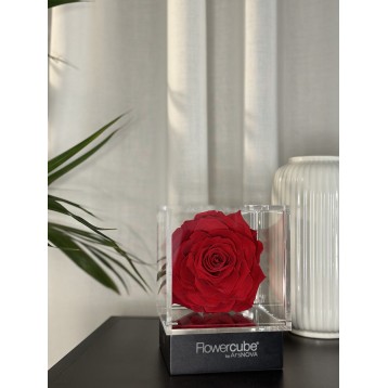 Flowercube Rosso