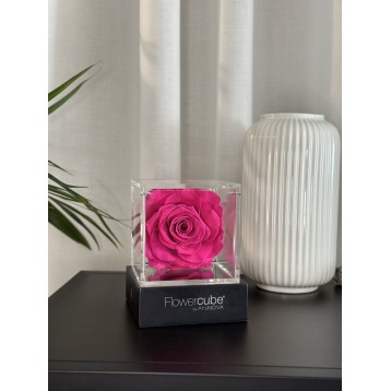 Flowercube Fucsia