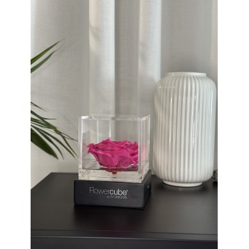 Flowercube Fucsia