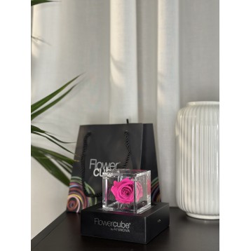 Flowercube Fucsia