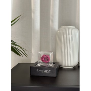 Flowercube Fucsia