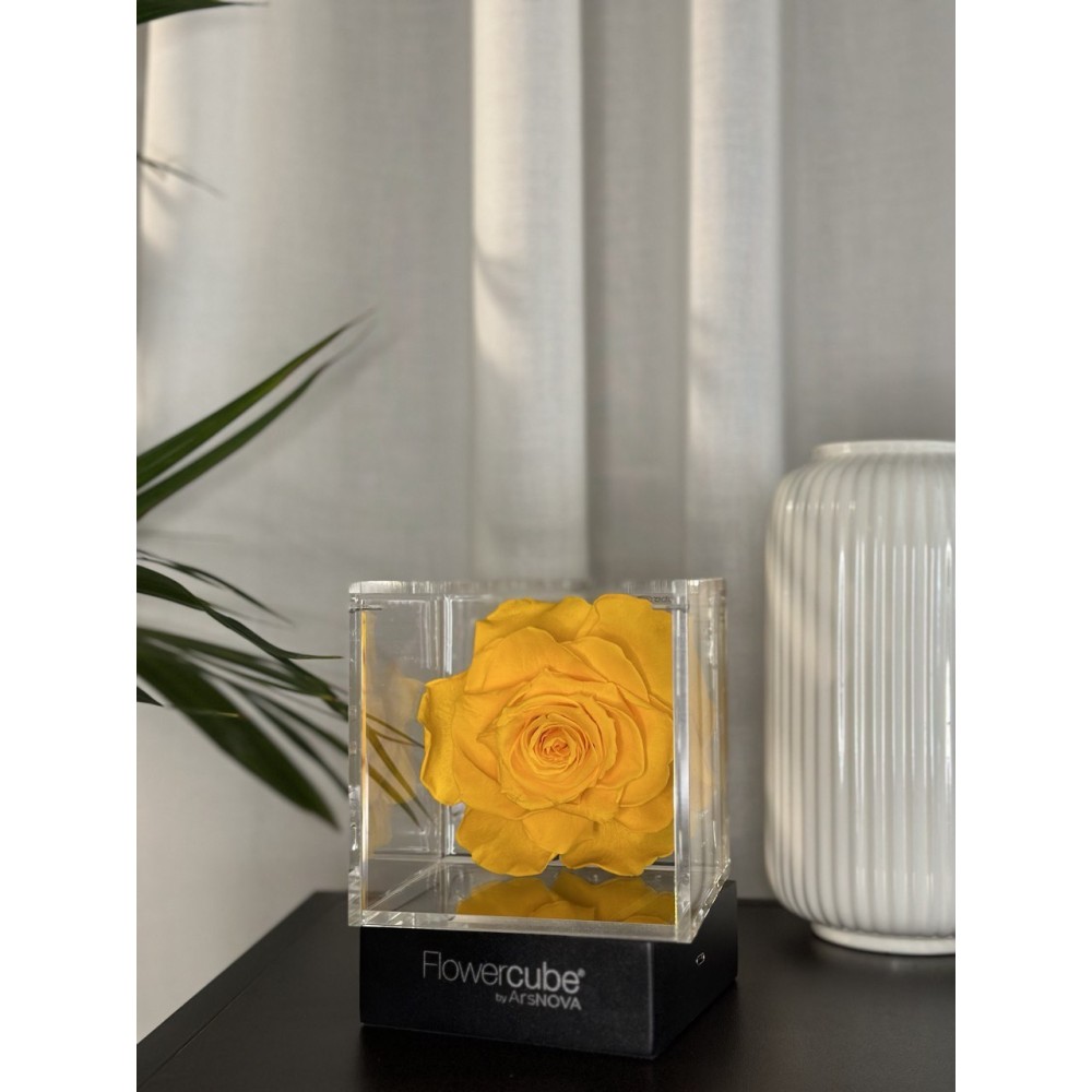 Flowercube Giallo