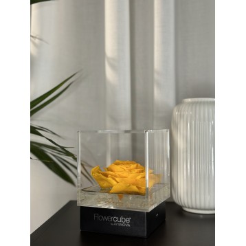 Flowercube Giallo