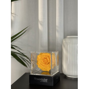 Flowercube Giallo