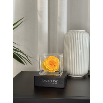 Flowercube Giallo