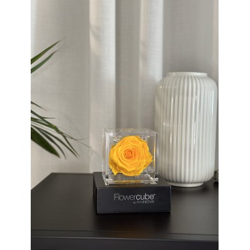 Flowercube Giallo