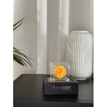 Flowercube Giallo