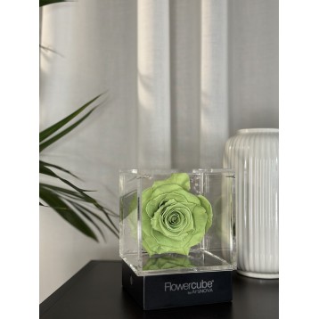 Flowercube Verde