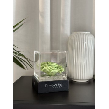 Flowercube Verde