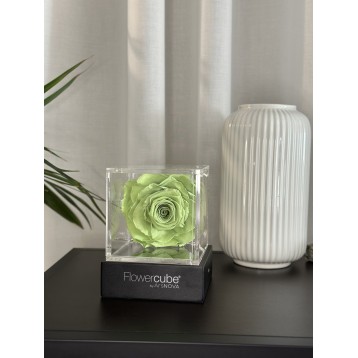 Flowercube Verde