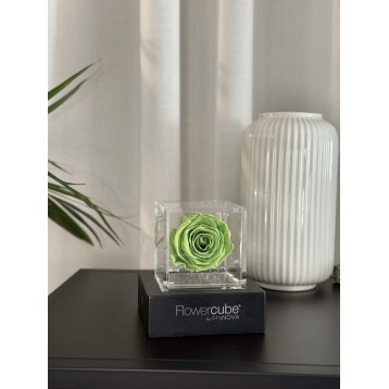 Flowercube Verde