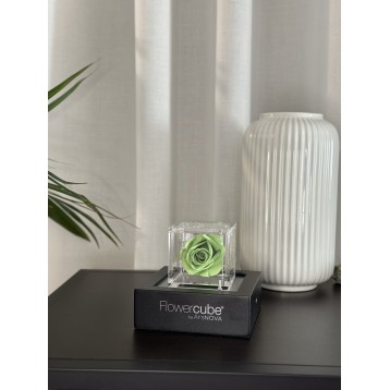 Flowercube Verde