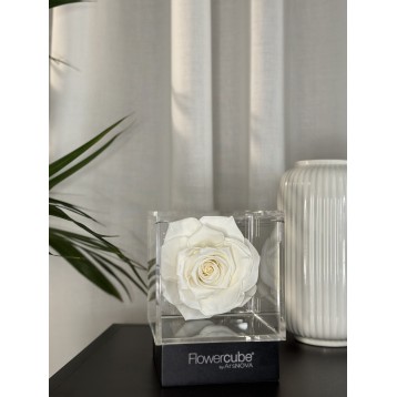 Flowercube Bianco