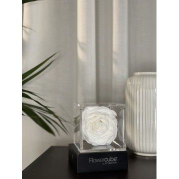 Flowercube Bianco