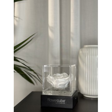 Flowercube Bianco