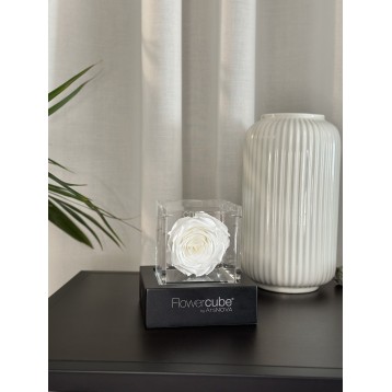 Flowercube Bianco