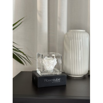 Flowercube Bianco