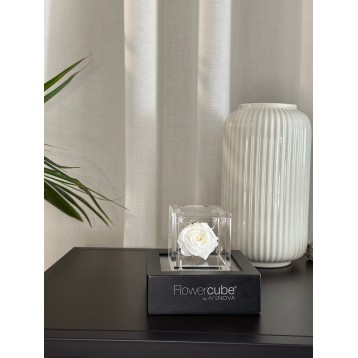 Flowercube Bianco