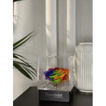 Flowercube Rainbow