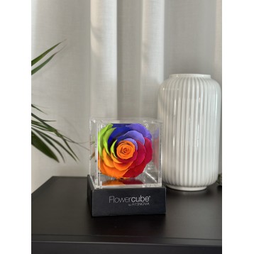 Flowercube Rainbow