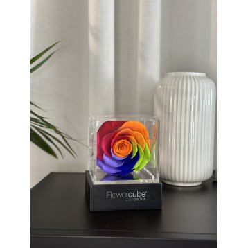 Flowercube Rainbow