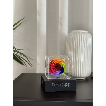 Flowercube Rainbow