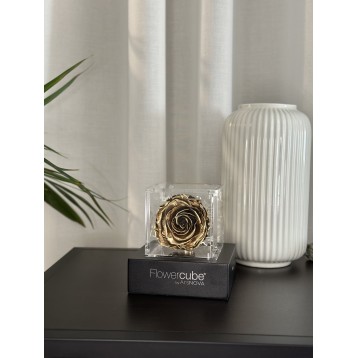 Flowercube Gold