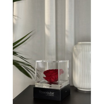 Flowercube Cuore