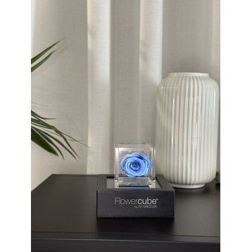 Flowercube Azzurro