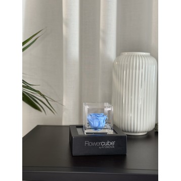 Flowercube Azzurro