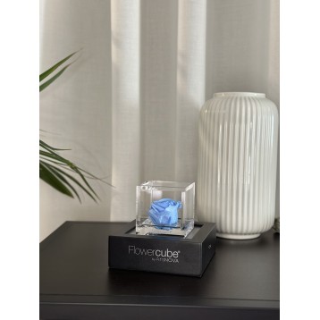 Flowercube Azzurro