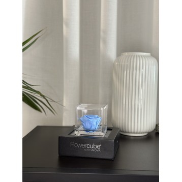 Flowercube Azzurro