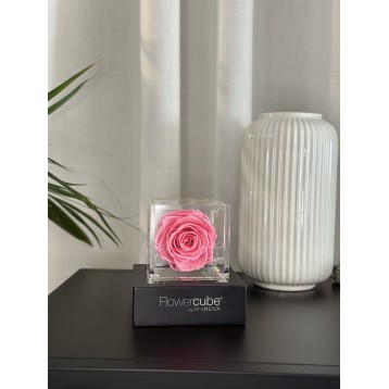 Flowercube Rosa