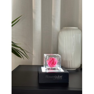 Flowercube Rosa