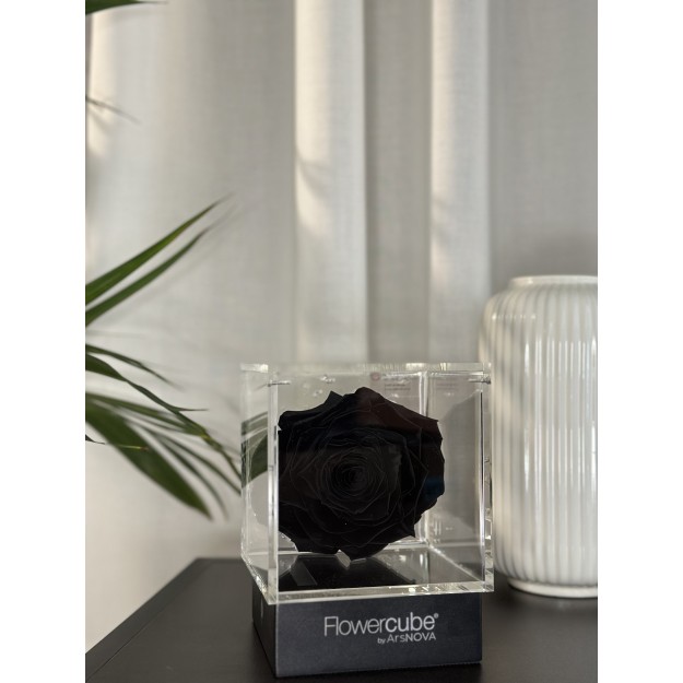 Flowercube Nero