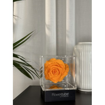 Flowercube Arancio