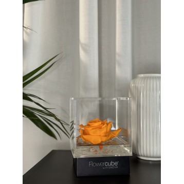 Flowercube Arancio