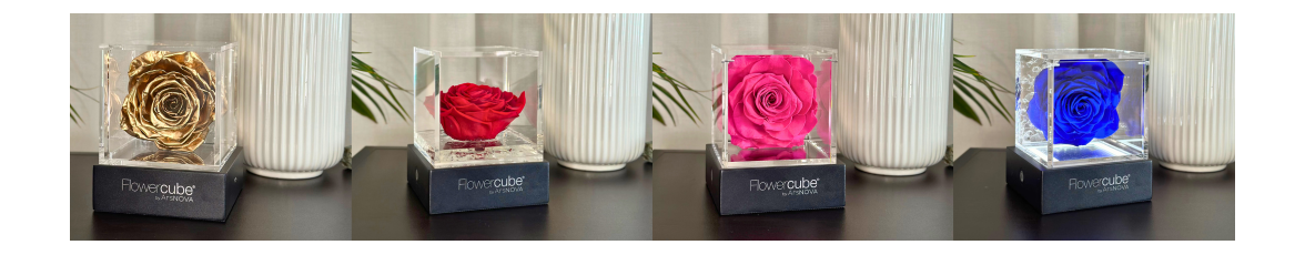 Flower cube